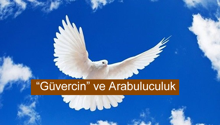 Güvercin ve Arabuluculuk: Simgeden Yönteme